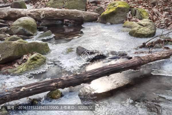 Frozen的春天