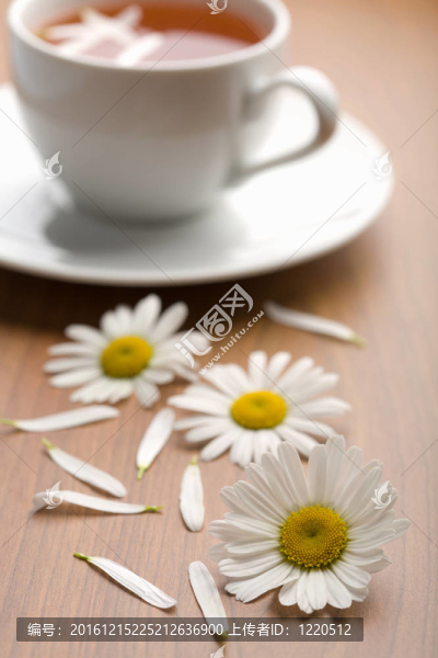 白杯草藥茶和洋甘菊花