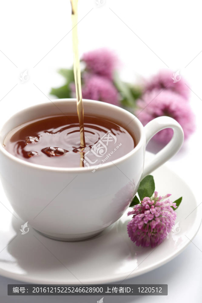 茶倒入白杯孤立