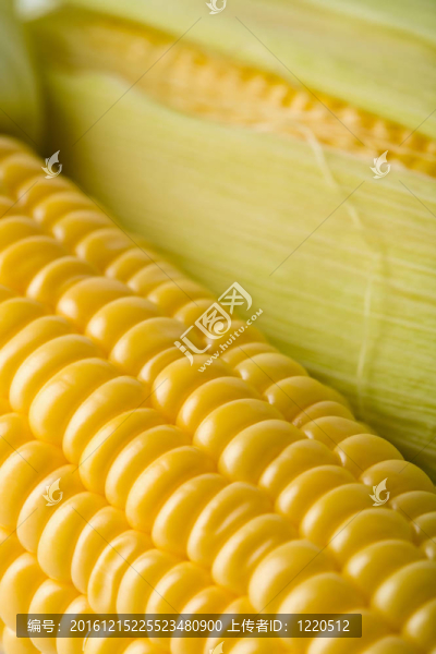 鮮食玉米玉米宏