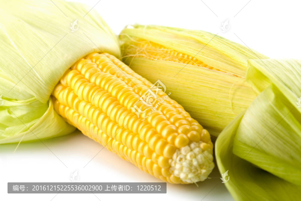 鮮食玉米玉米分離的特寫