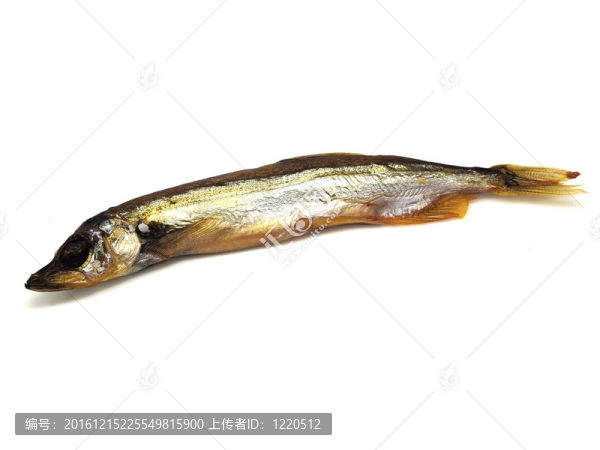 熏多春魚