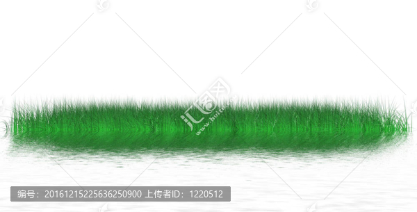 在水光滑的水面上反射出明亮多汁的青草的島嶼