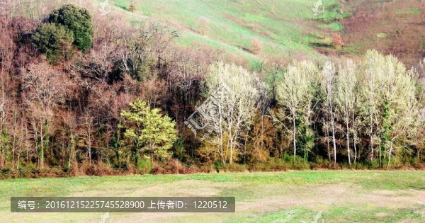 農(nóng)村