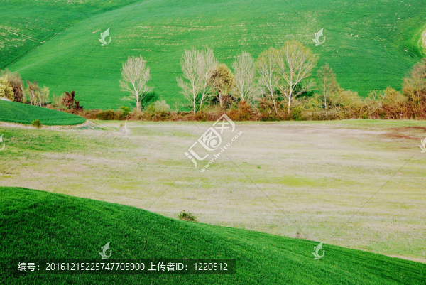農(nóng)村