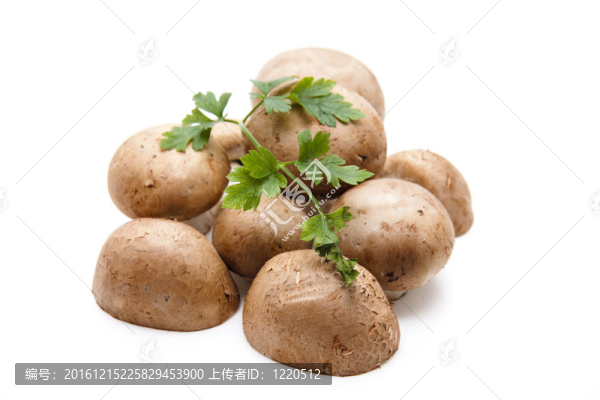 蘑菇和香菜