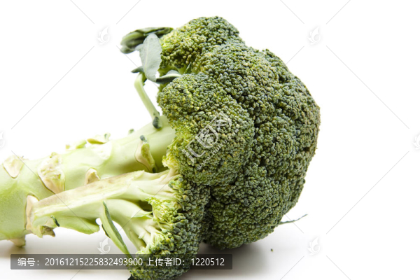 綠花椰菜