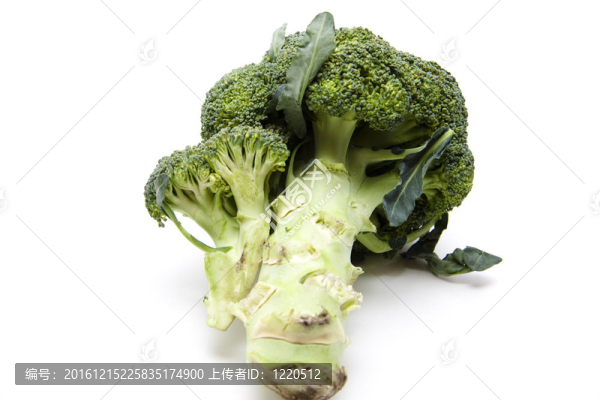 鮮綠色的花椰菜