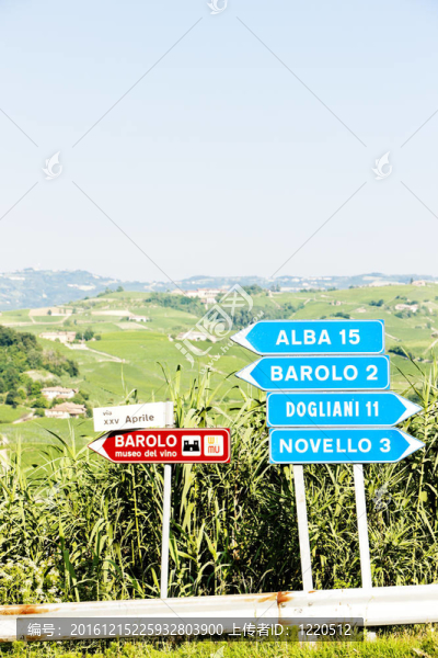 路標(biāo)附近巴羅洛；Piedmont；意大利