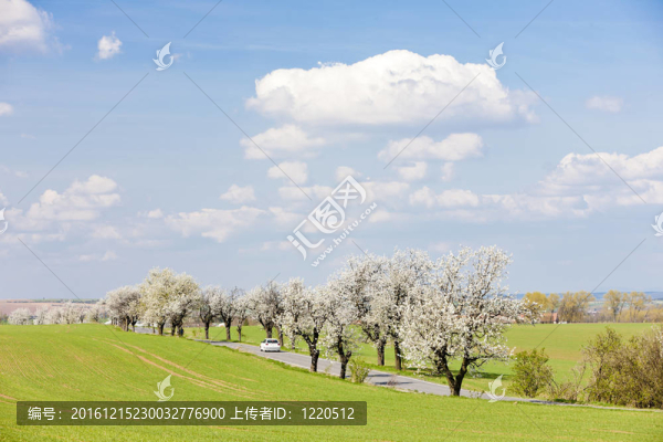 一路的春景；捷克共和國(guó)
