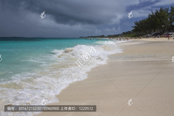 美麗的沙灘在加勒比海