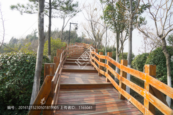 觀光棧道