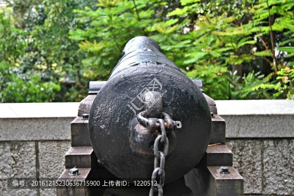 佳能