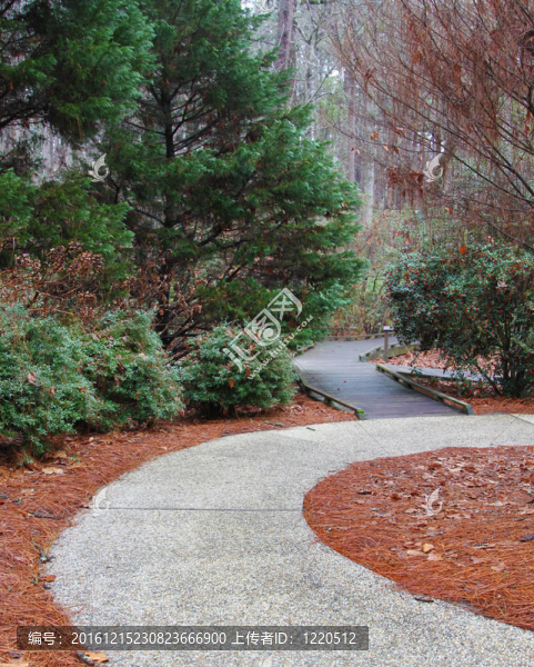 公園路