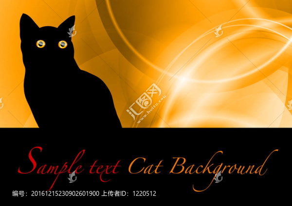 黑色的貓