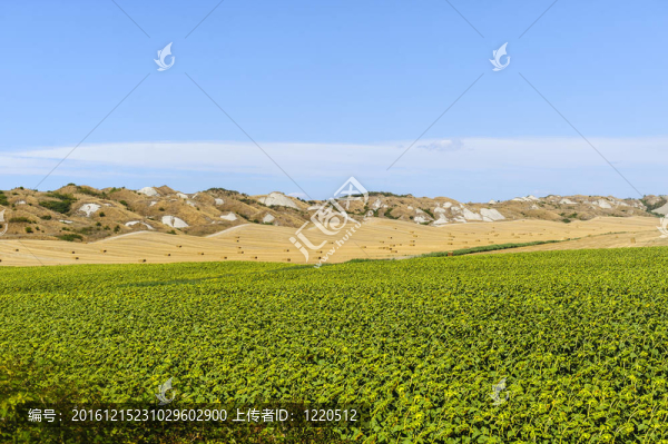 Val,d,Orcia（托斯卡納）景觀