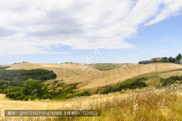 Val,d,Orcia（托斯卡納）景觀