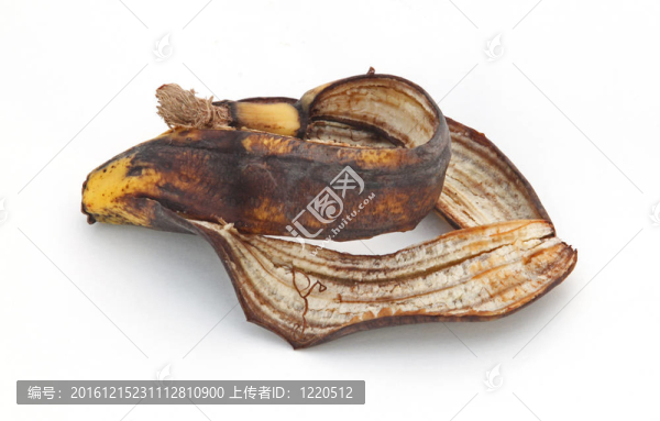 香蕉皮在純白的背景。
