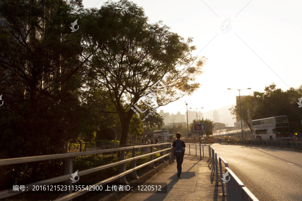 落日步道沿路