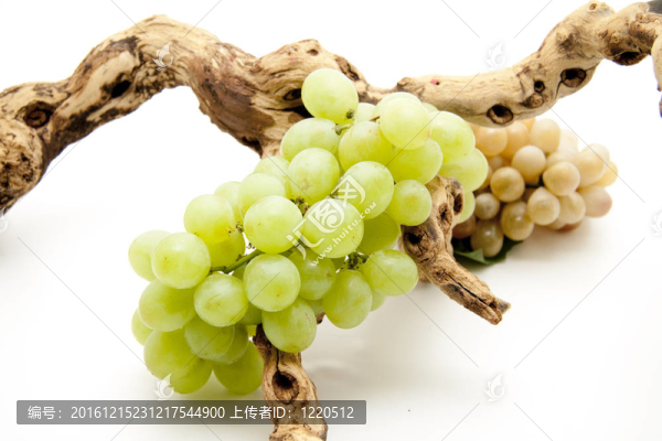 明亮的葡萄
