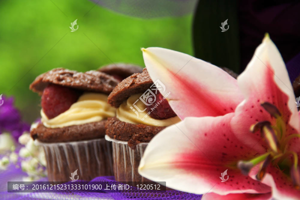 紙杯蛋糕