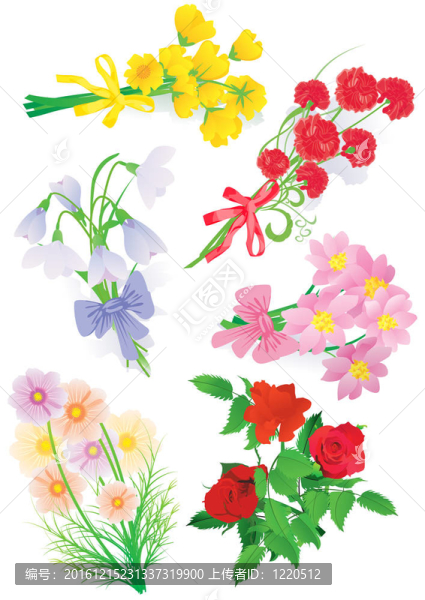 玫瑰郁金香花束集；雪花；在白色的宇宙和其他隔離