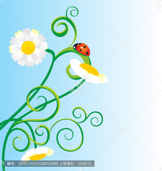 瓢蟲草和雛菊草地插畫
