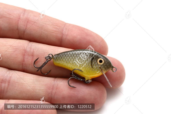 釣魚用的誘餌