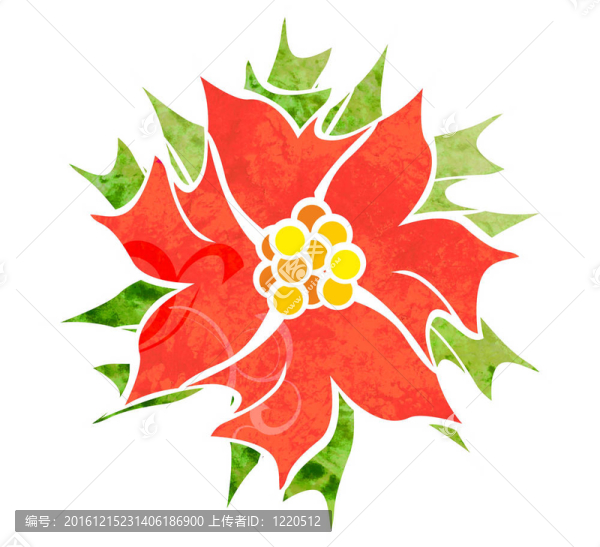 紅色裝飾花在白色水彩插圖上的隔離