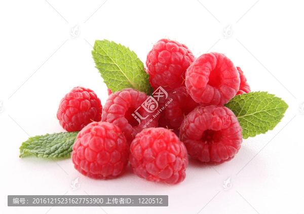 孤立的覆盆子