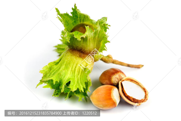 榛子