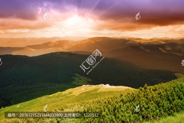 mountainssunset和松林