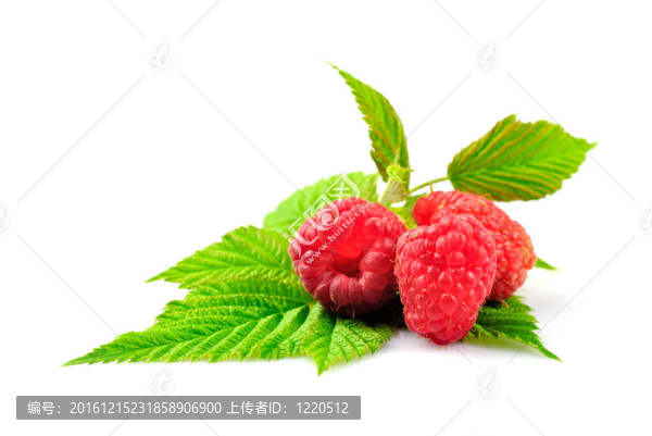 覆盆子