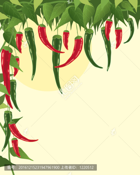 辣椒