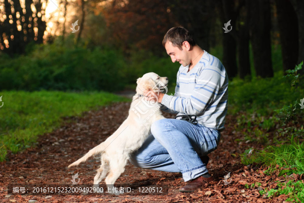 在公園的黃金獵犬和人