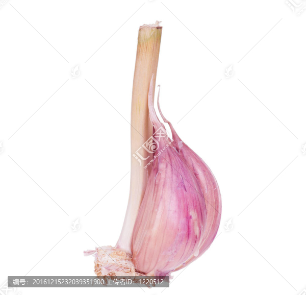 新鮮大蒜