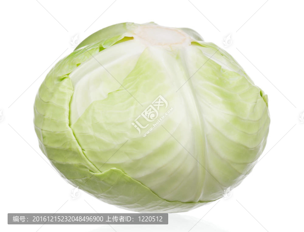 新鮮的卷心菜