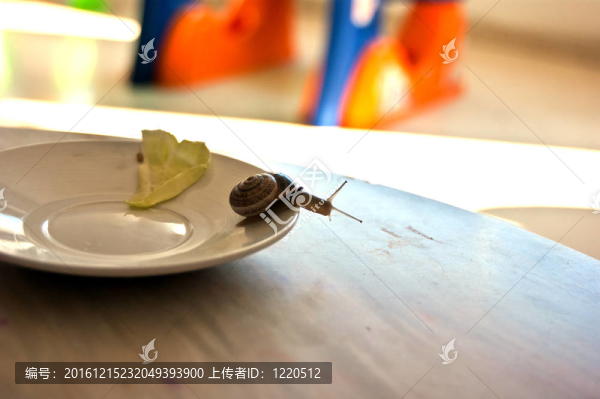 蝸牛
