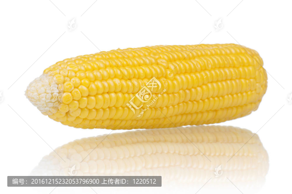 新鮮的玉米