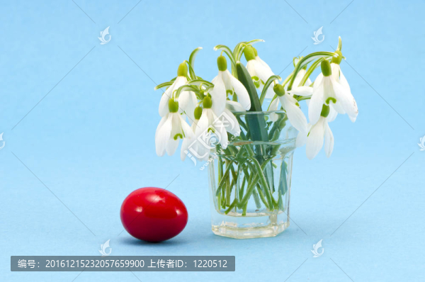 在玻璃的雪花蓮和復(fù)活節(jié)彩蛋