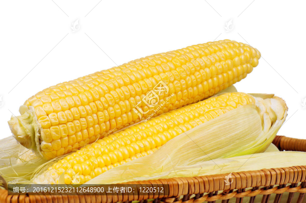新鮮的玉米
