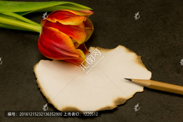 用鉛筆和花寫在一邊的不成文的信息