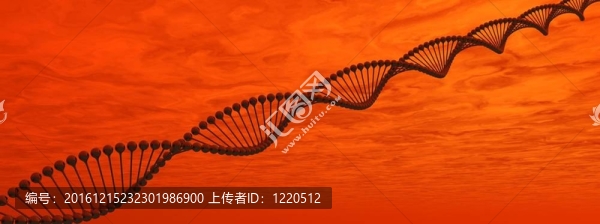 DNA鏈
