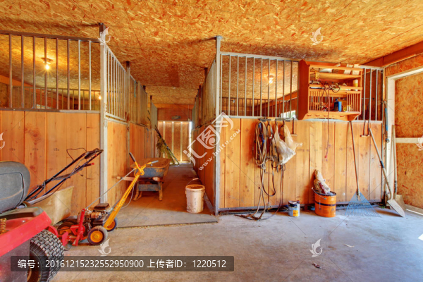 在馬廄的馬場(chǎng)。