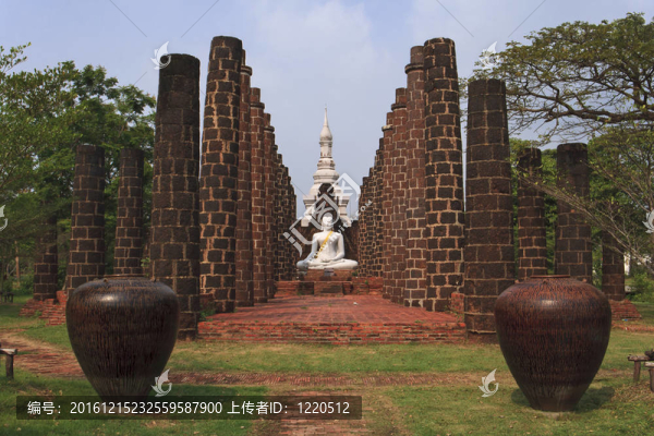 White,buddha坐