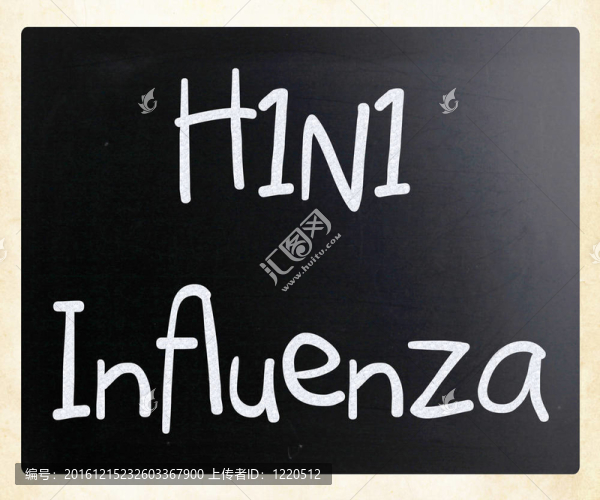 甲型H1N1流感病毒