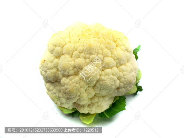 菜花