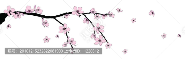 美麗櫻花枝