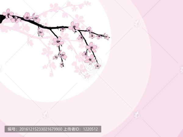 美麗櫻花枝