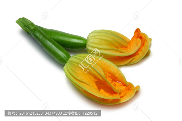 西葫蘆與Flower